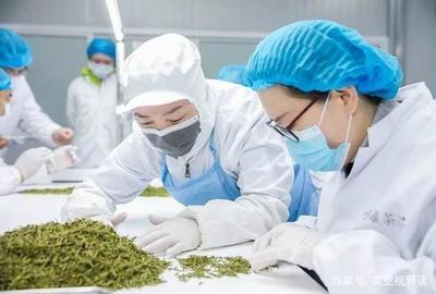 匠心成就優(yōu)良品質(zhì) 杜國楹的小罐茶獲艾問認可